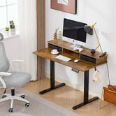 Cassington Home Jannie Electric Sit &amp; Stand Desk