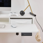 Cassington Home Jannie Electric Sit &amp; Stand Desk