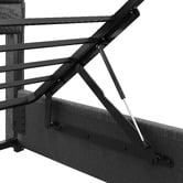 Cassington Home Facardo Gas Lift Storage Bed Frame with Charging Station