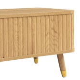 Cassington Home Devon Rectangular Lift-Top Coffee Table