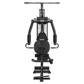 Cortex Harstein SS4 Single Station Functional Home Gym