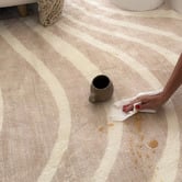 Daisie Rug Studio Zephyr Alure Machine Washable Rug