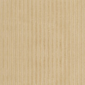Daisie Rug Studio Beige Galleria Power-Loomed Rug