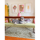 Daisie Rug Studio Green Erinome Machine Washable Indoor/Outdoor Rug