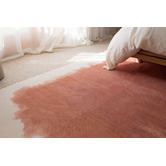 Daisie Rug Studio Terracotta Taranto Machine Washable Rug