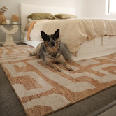 Daisie Rug Studio Solis Bryston Machine Washable Rug