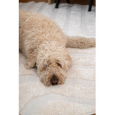 Daisie Rug Studio Doro Jovara Round Rug