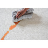Daisie Rug Studio Cream Tessara Machine Washable Rug