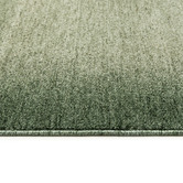 Daisie Rug Studio Leaven Gradient Runner