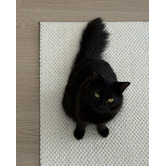 Daisie Rug Studio Beige Sylora Wool-Blend Power-Loomed Rug