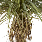 Prairie &amp; Home 183cm Potted Faux Yucca Grass Tree