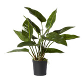 Prairie &amp; Home 70cm Potted Faux Anthurium Plant