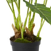 Prairie &amp; Home 70cm Potted Faux Alocasia Frydek Plant