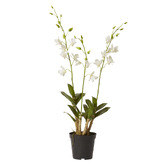 Prairie &amp; Home 89cm White Potted Faux Orchid Dendrobium Flower