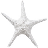 Prairie &amp; Home Starfish Polyresin Ornament