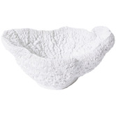 Prairie &amp; Home Coral Polyresin Decorative Bowl
