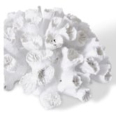 Prairie &amp; Home Coral Flower Ornament