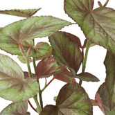 Prairie &amp; Home 59cm Potted Faux Begonia Plant