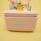 Polarbox Pop Cooler Box