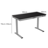Cooper Furniture Elvira Electric Sit &amp; Stand Desk with USB Ports