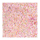 The Native Collection Golden Shower Canvas Wall Art