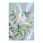 The Native Collection Hummingbird II Canvas Wall Art