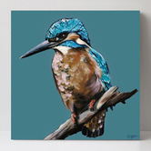 The Native Collection Blue Kingfisher I Canvas Wall Art