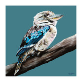 The Native Collection Blue Kingfisher II Canvas Wall Art