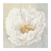 The Native Collection Serene Peony Canvas Wall Art