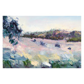 The Native Collection View to Pioneer Park from Cootamundra Hill Canvas Wall Art
