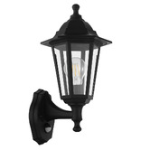 Eglo Duanera Outdoor Wall Light with Sensor