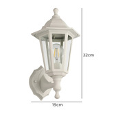 Eglo Duanera Outdoor Wall Light