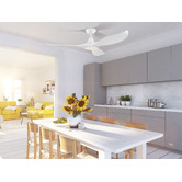 Eglo Noosa DC Ceiling Fan with LED