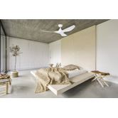 Eglo Surf DC Ceiling Fan with Remote Control