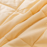 Eddy and Elly Wild Jungle Cotton Comforter Set