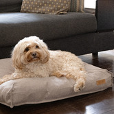 Lulu and Boo Siena Pet Pillow Bed