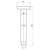 MIXX Tapware &amp; Accessories Matcha 300mm Ceiling Shower Arm