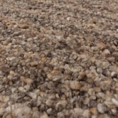 Asiatic Brown Abbus Hand-Woven Boucle Rug