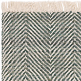 Asiatic Green Vigo Flat Weave Wool-Blend Rug