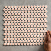 Splash Tiles Ainsley 315 x 294mm Gloss Pink Penny Round Porcelain Mosaic Tile