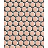 Splash Tiles Ainsley 315 x 294mm Gloss Pink Penny Round Porcelain Mosaic Tile