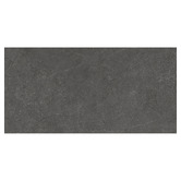 Elena Tiles Genoa 300 x 600mm Black Rectangle Porcelain Tile