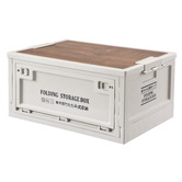 Chester Homewares Amos Foldable Storage Box