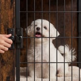 Viviendo 2-in-1 Pet Crate Bedside Table