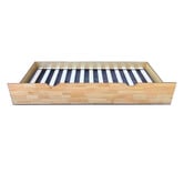 Western Designs Natural Galaxy Single Trundle Bed