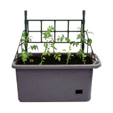 Garden Emporium Riley Box Planter with Trellis
