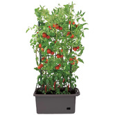 Garden Emporium Riley Box Planter with Trellis