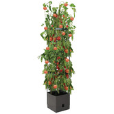 Garden Emporium Avery Plant Pot with Trellis