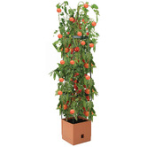 Garden Emporium Avery Plant Pot with Trellis