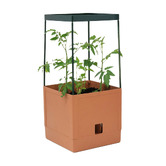 Garden Emporium Avery Plant Pot with Trellis